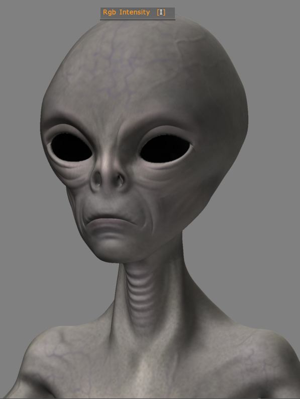 Wip5.JPG