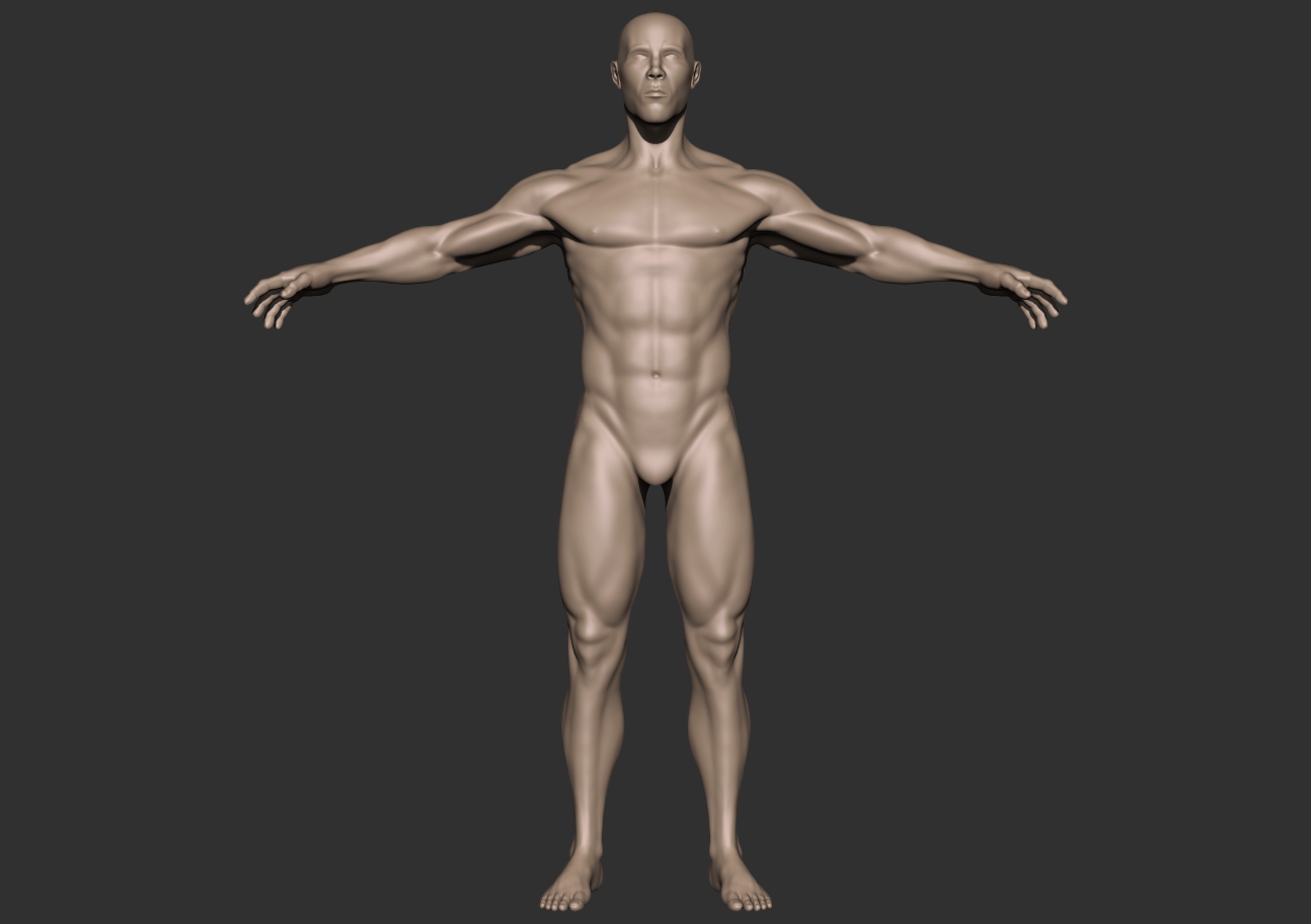bodybuilder_front.jpg