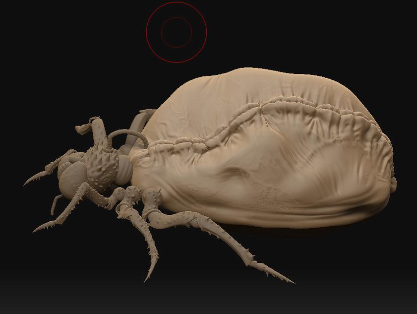 Resize of Bug.jpg