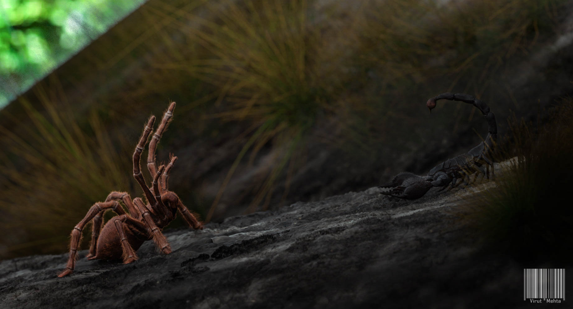 tarantula vs scorpion_sc1_final.jpg