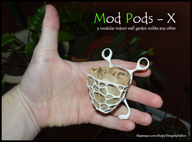 Mod Pod X_01.jpg