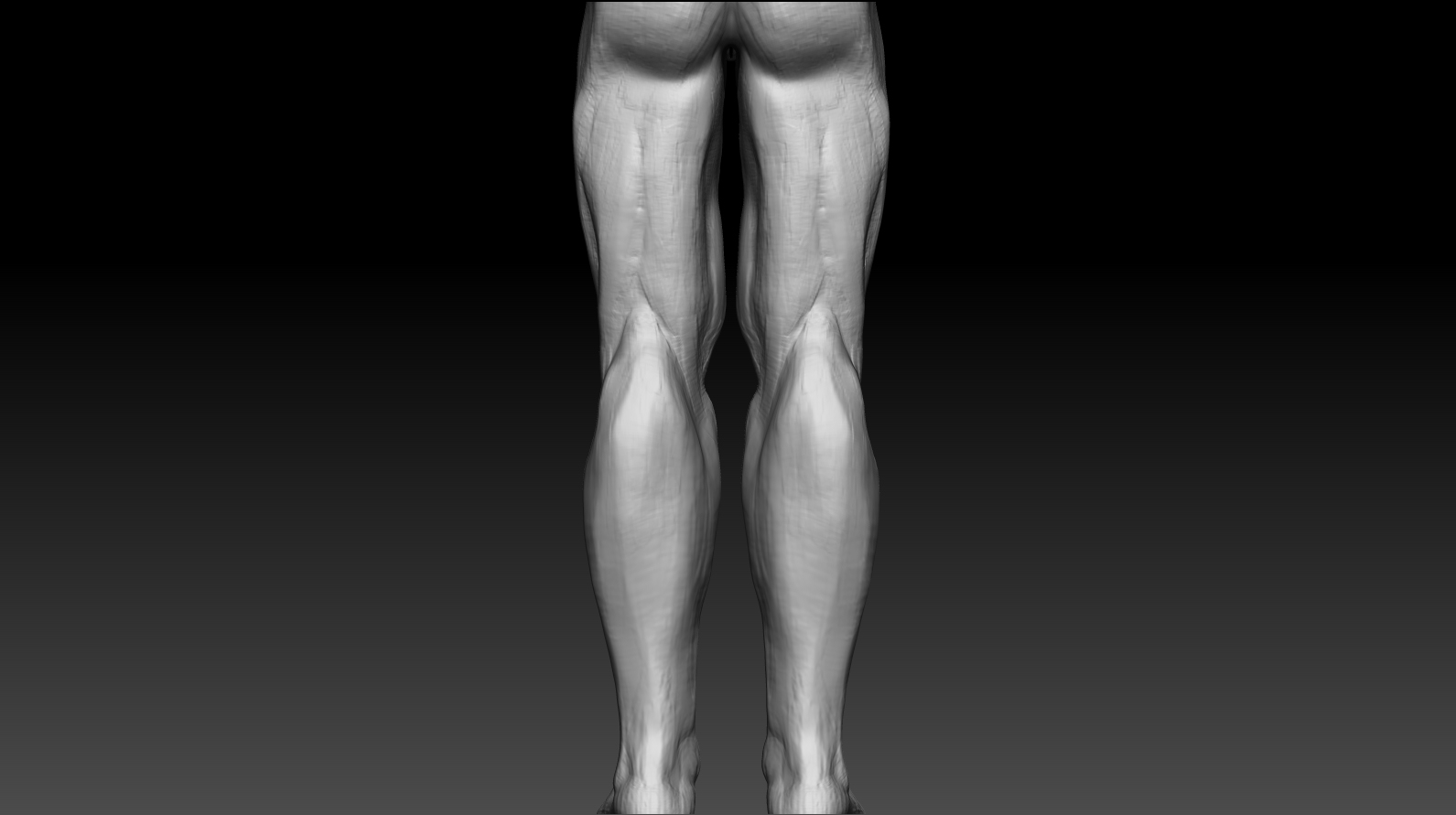 LegsDetail.jpg