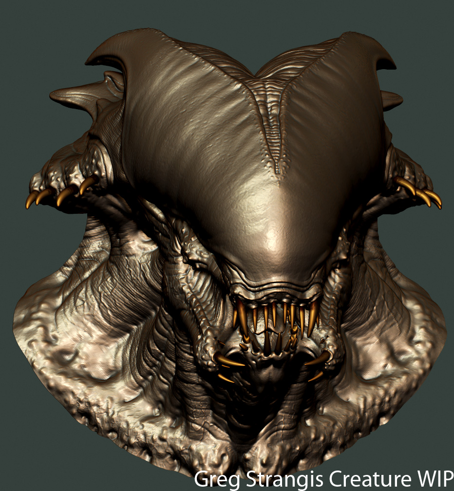 Head-view2.jpg