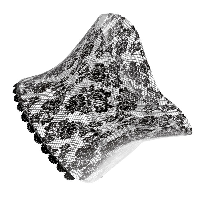 lace2.jpg