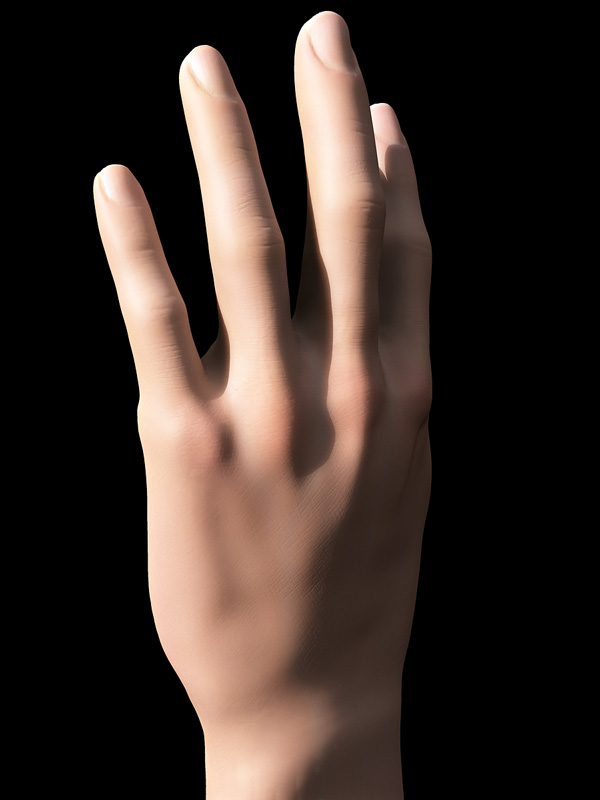 main33_800.jpg