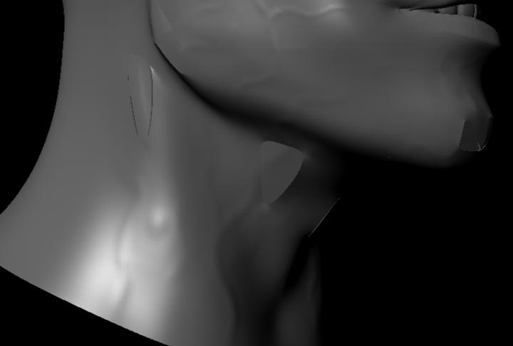 Concept_Head2.jpg
