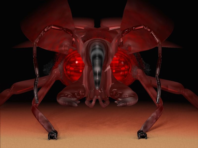 Textured Beetle 1.jpg