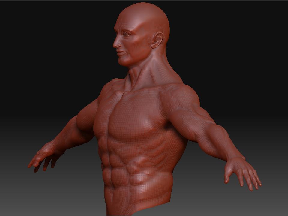 UpperbodyAnglelevel3.jpg