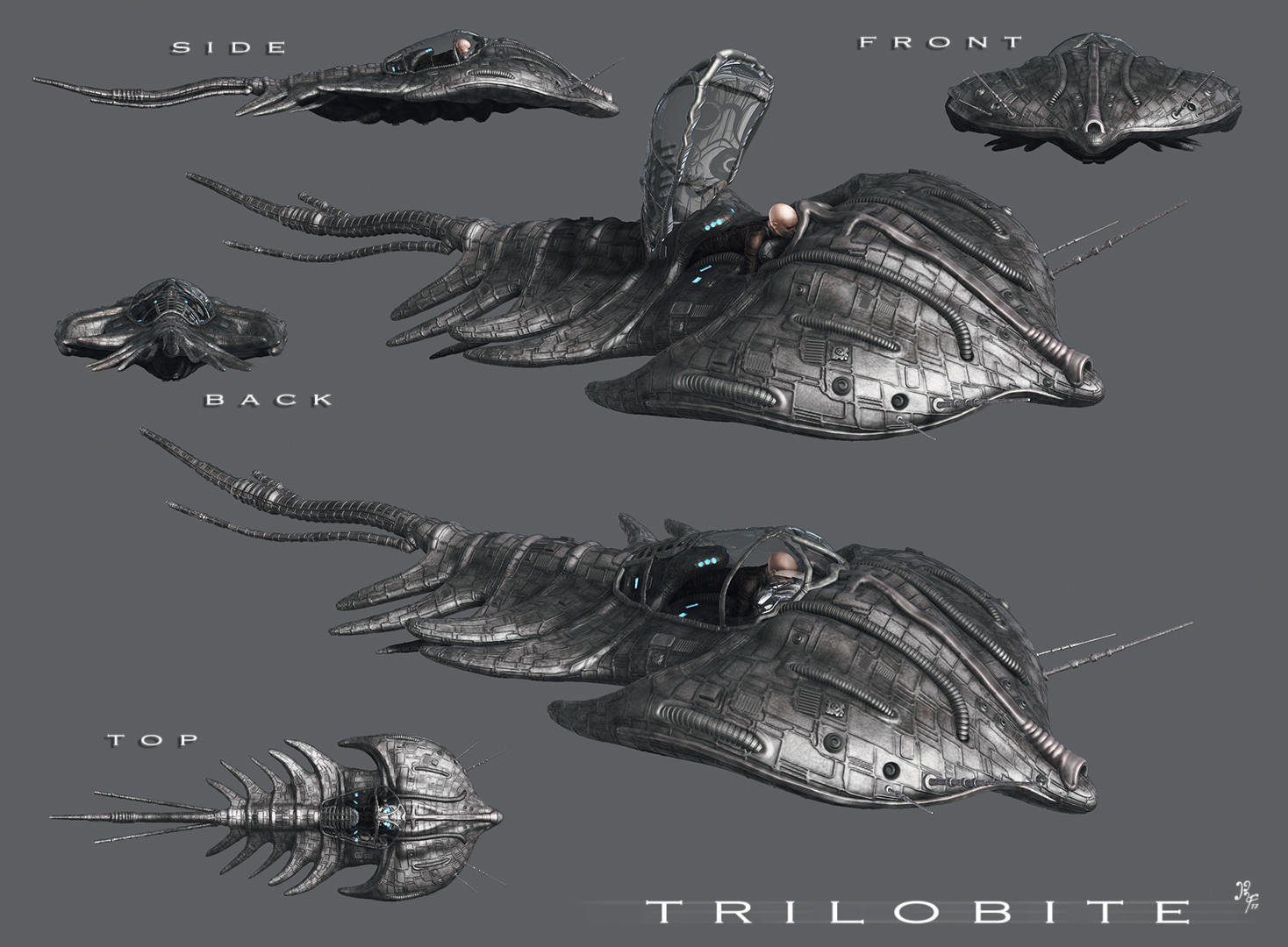 ZBTrilobiteGrey.jpg