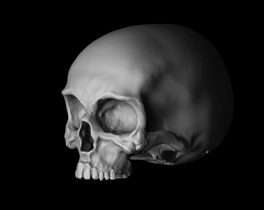 skullbasematerial.jpg