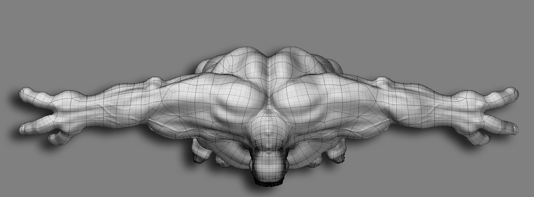 top veiny mesh.jpg