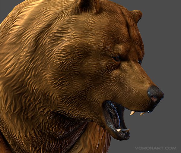 3d-bear-animated-03.jpg