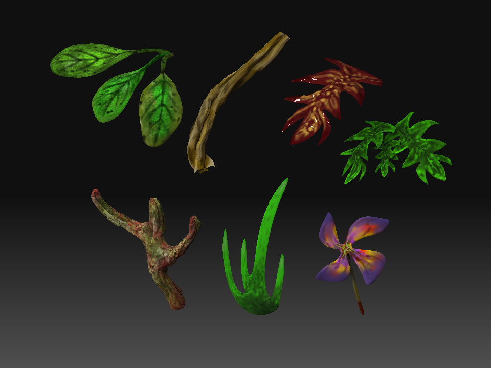 plants_3.jpg