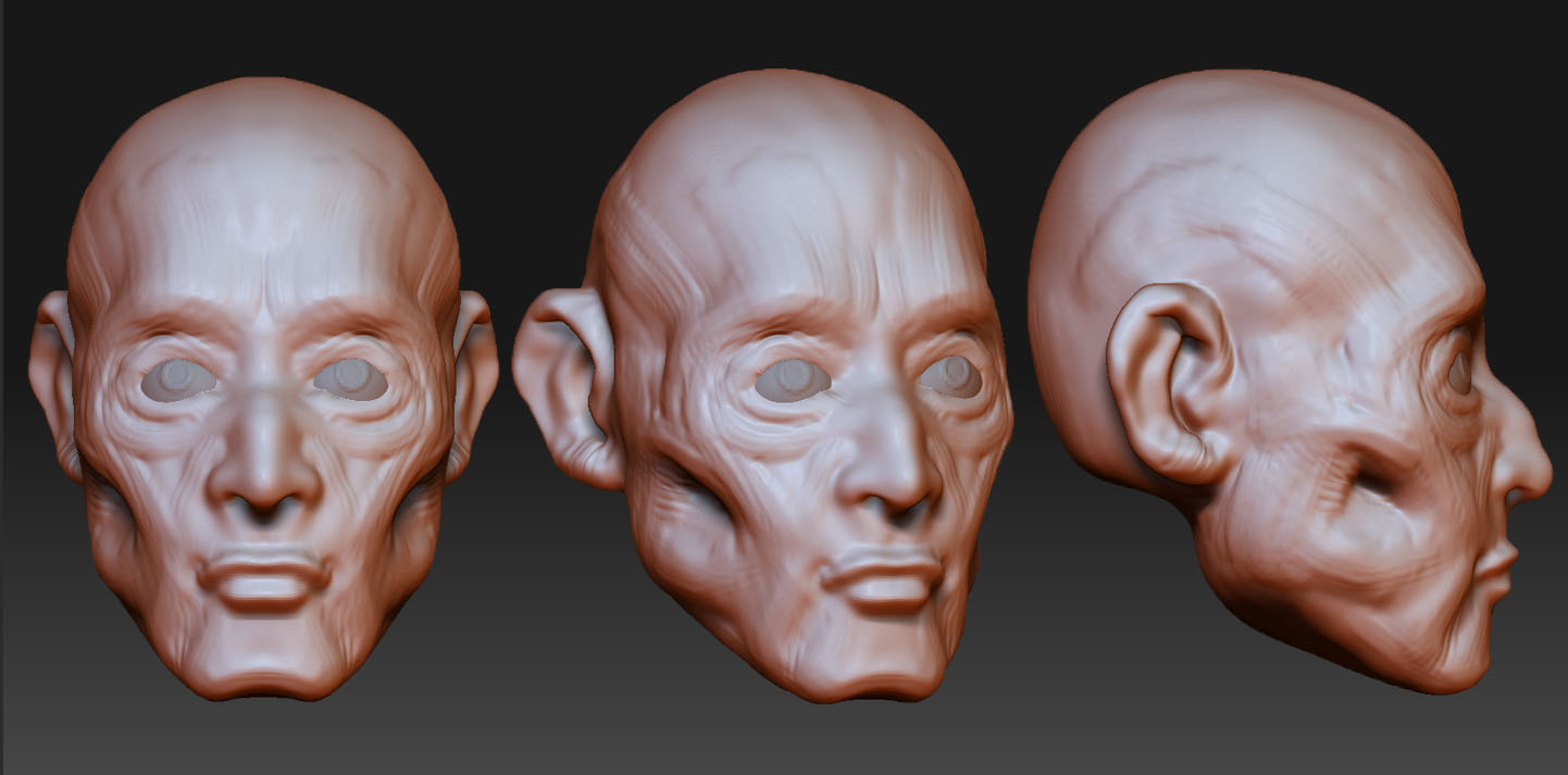 facesculpttturntable2.jpg