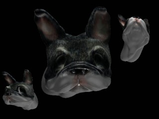 explain2.jpg