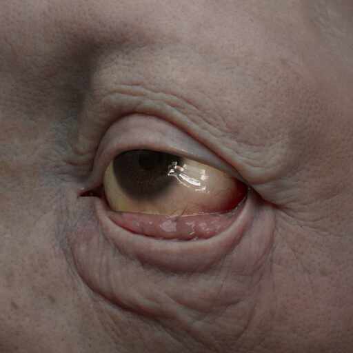 sss_Ds2_Albedo3_Spec1_hdri2_ScleraRamp_Microbump_Tearline_3Textured_2