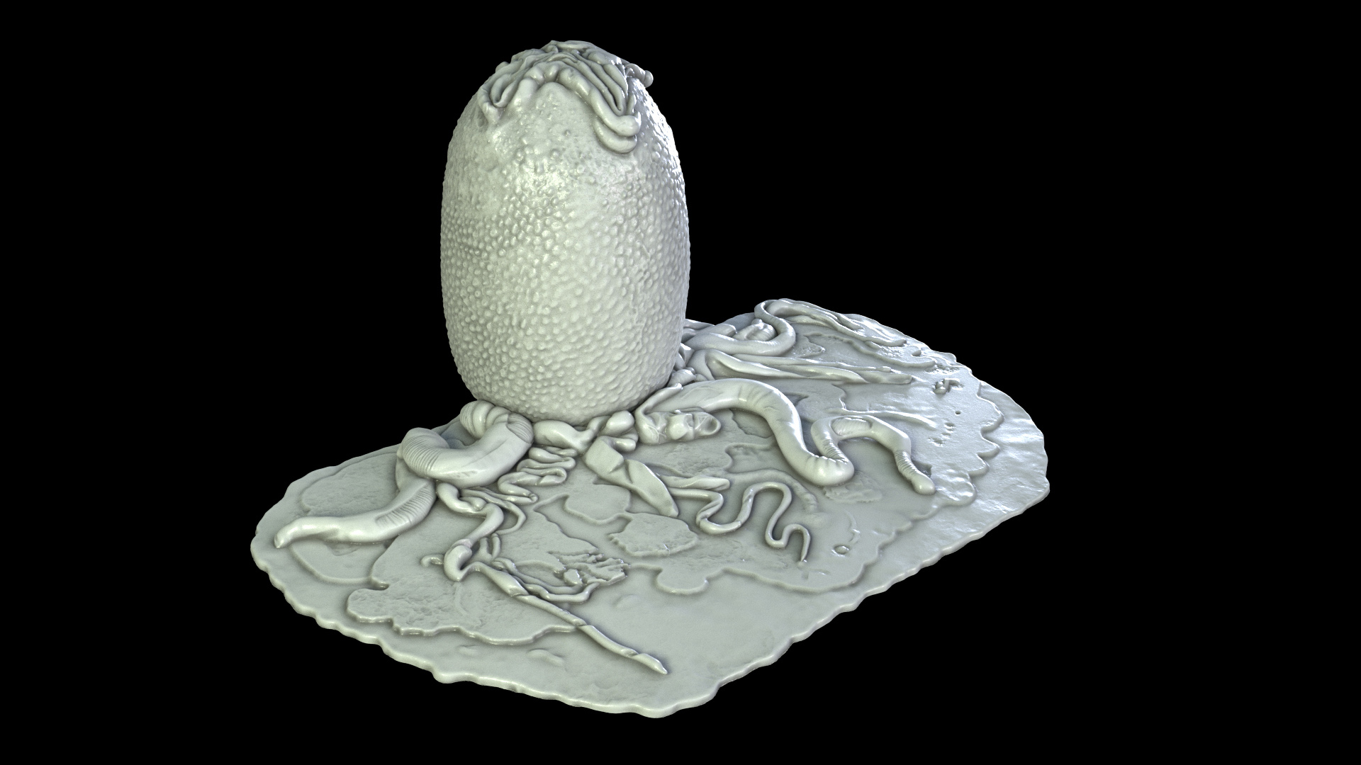 Grey_Surface_Sl_000.jpg