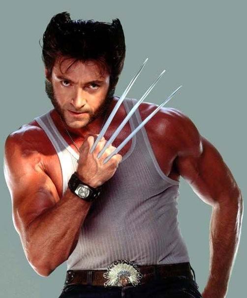 Wolverine.jpg
