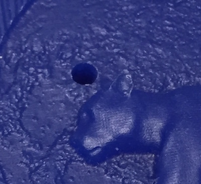 plunge_0933.jpg