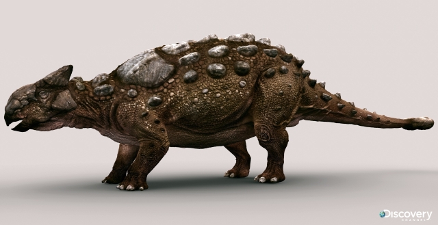 Ank_model.jpg