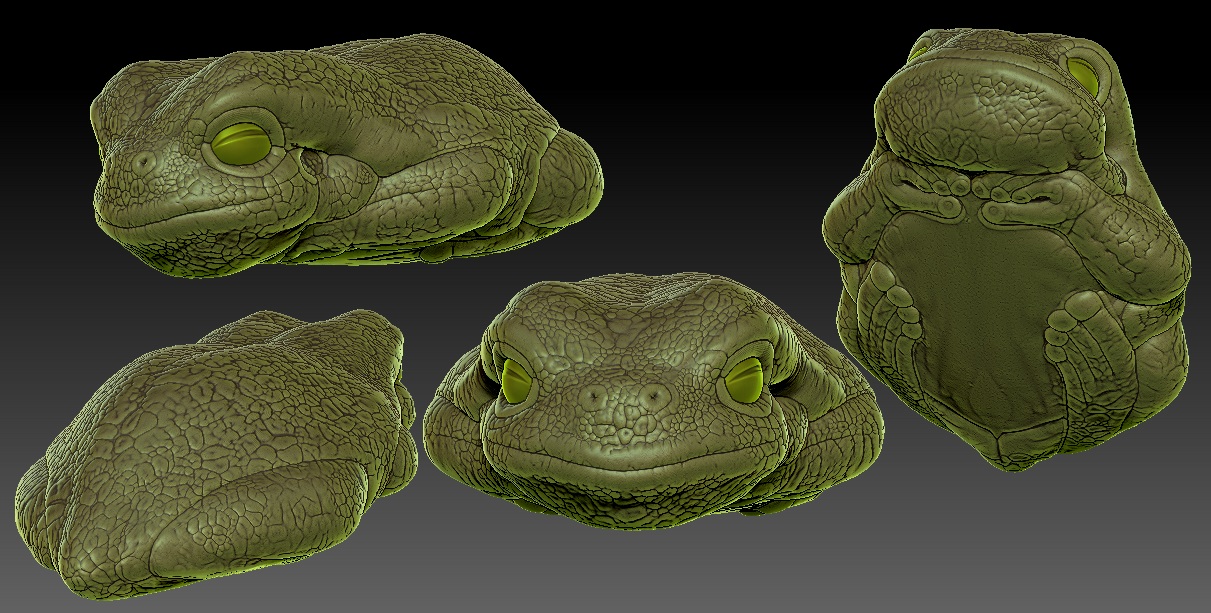 froggy.jpg