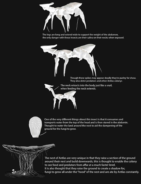 Antlas info sections1.jpg