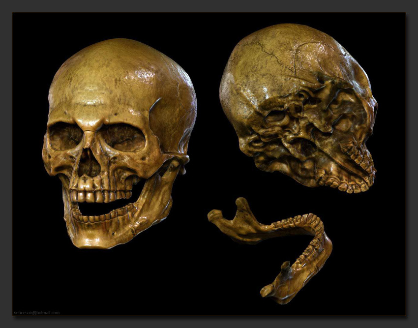 1-skull.jpg