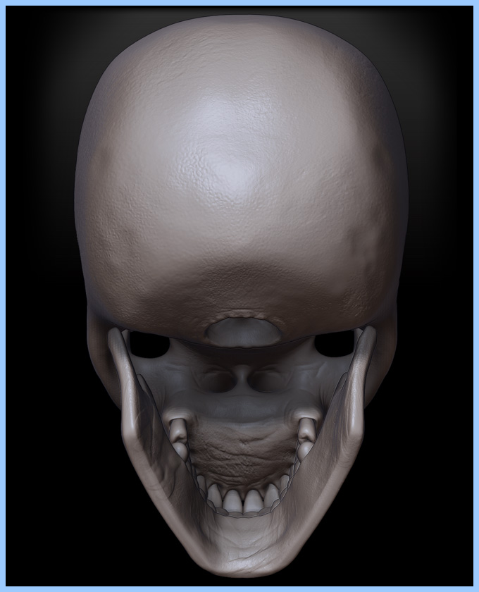 SPI_SKULL_005.jpg