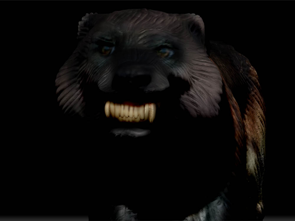 WOLVERINE 14.jpg