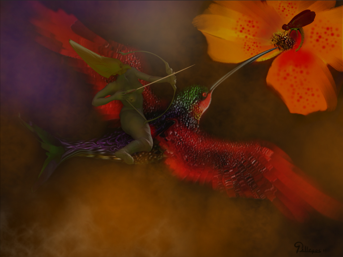 HUMMINGBIRD 29_edited-1.jpg