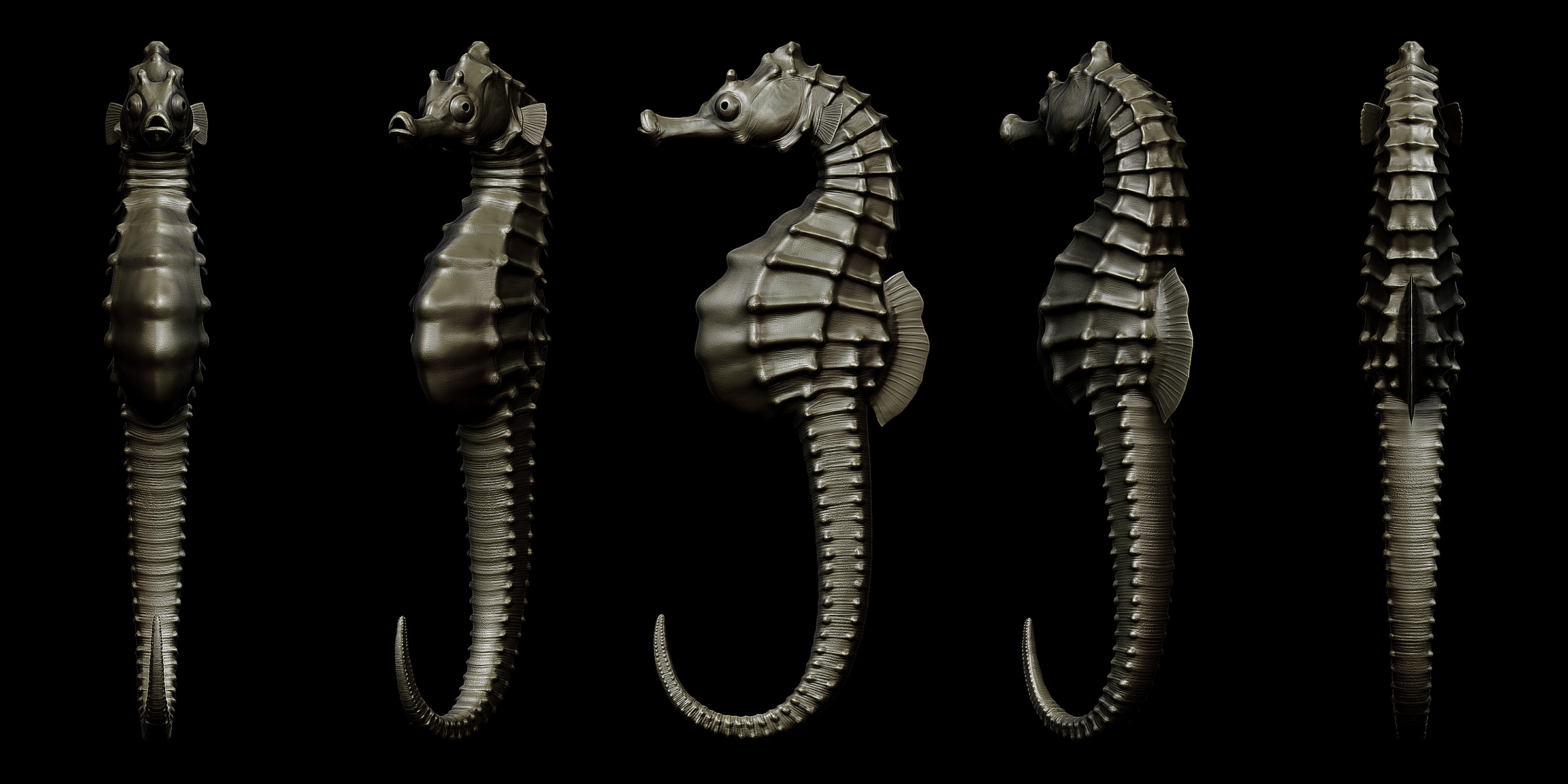 [ZBRUSH]-Big-velly-Sea-Horse-1.jpg