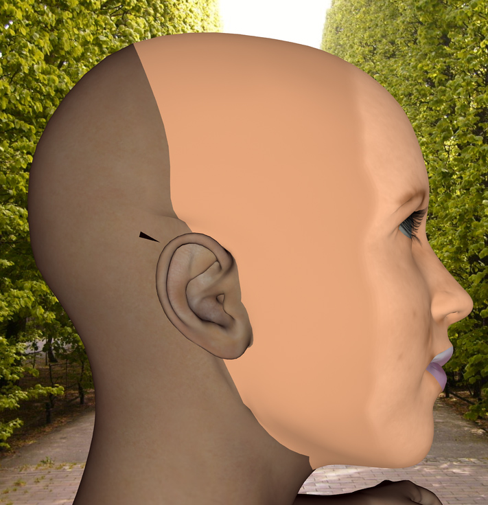 SIDE RIGHT.jpg