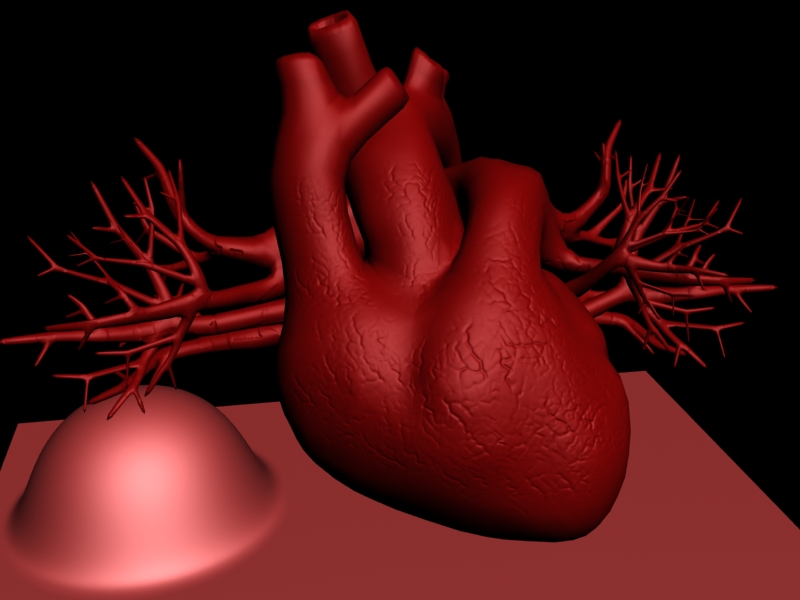 heart_06.jpg