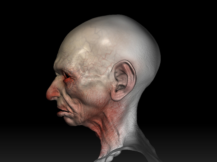 leftprofile.jpg