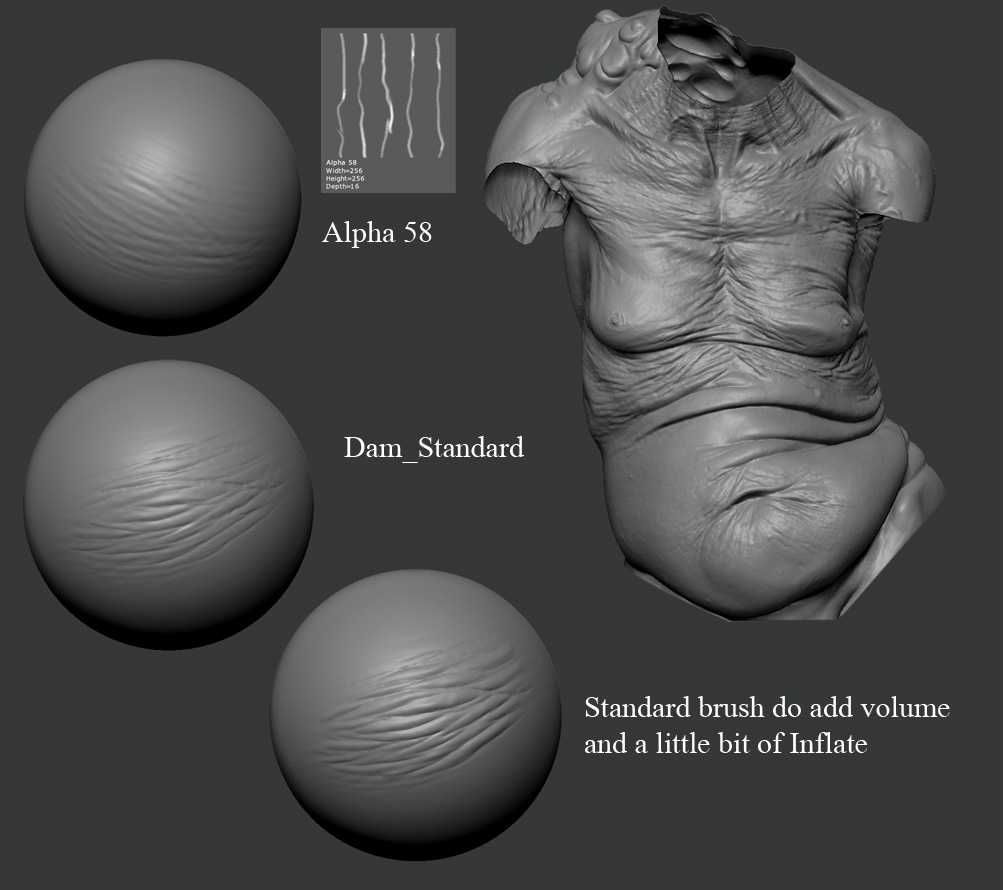 Skin_02.jpg