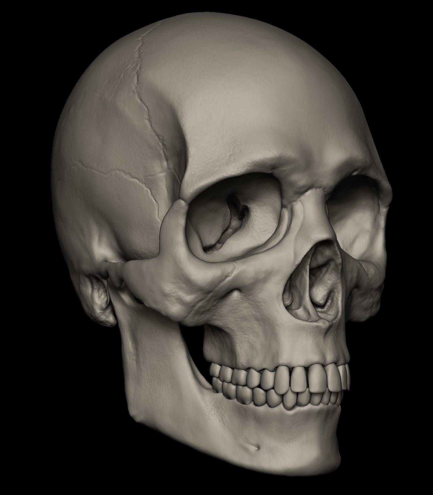 Skull europeu_34.jpg