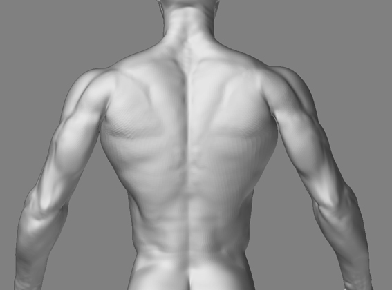 WIPback.jpg