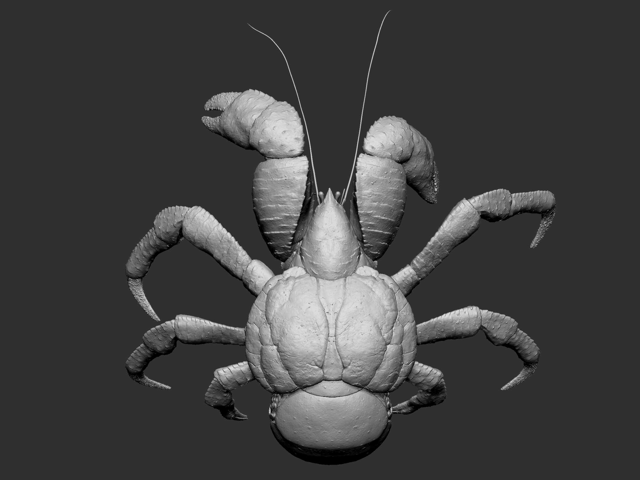 crab zbrush