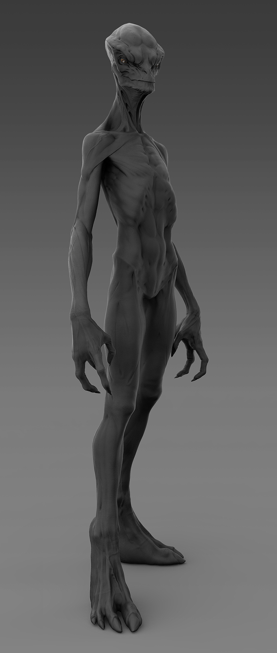 Full size front.jpg