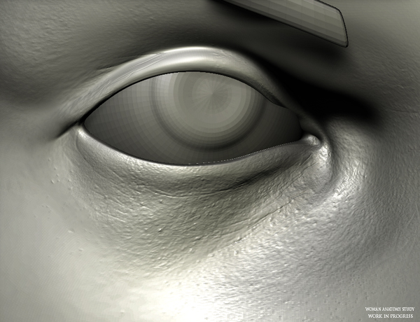 woman anatomy close up.jpg