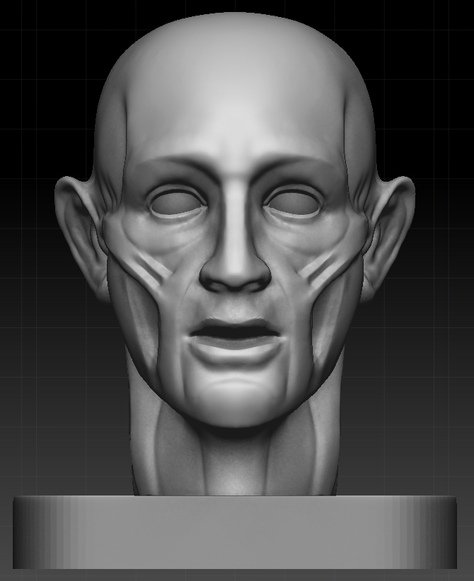 ecorche_front.png
