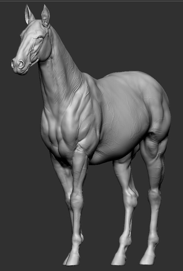 horse anatomy sculpture - ZBrushCentral