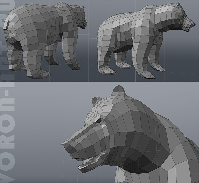 brown bear01.jpg