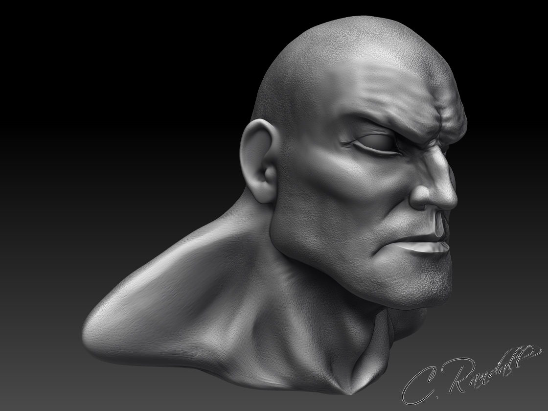 Zaran Head (right side) Grey.jpg