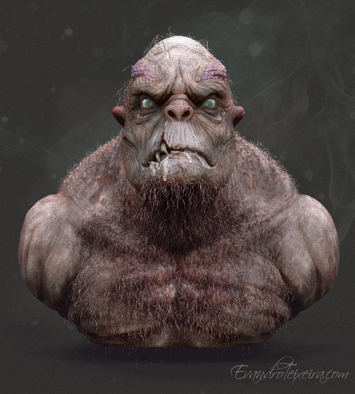 render02_new_ZB.jpg