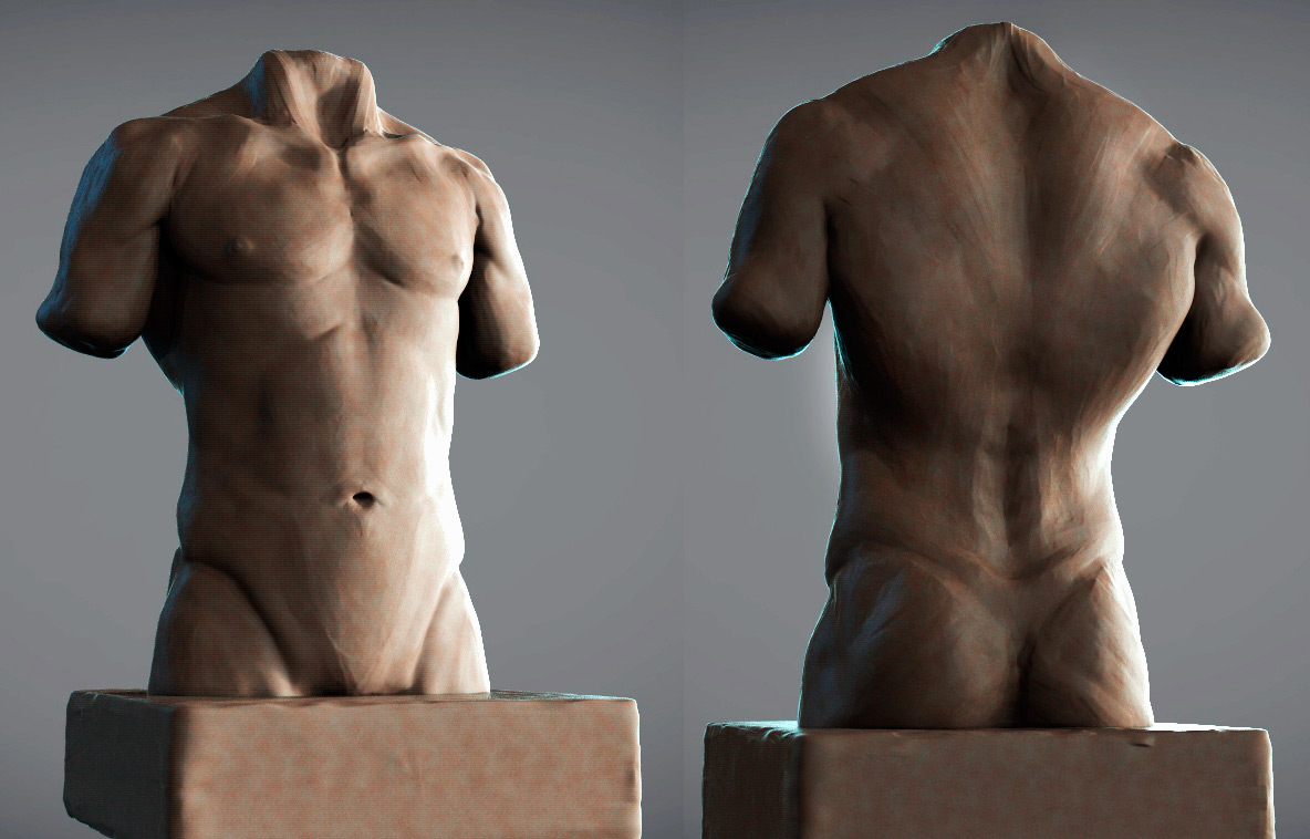 male-torso3.jpg