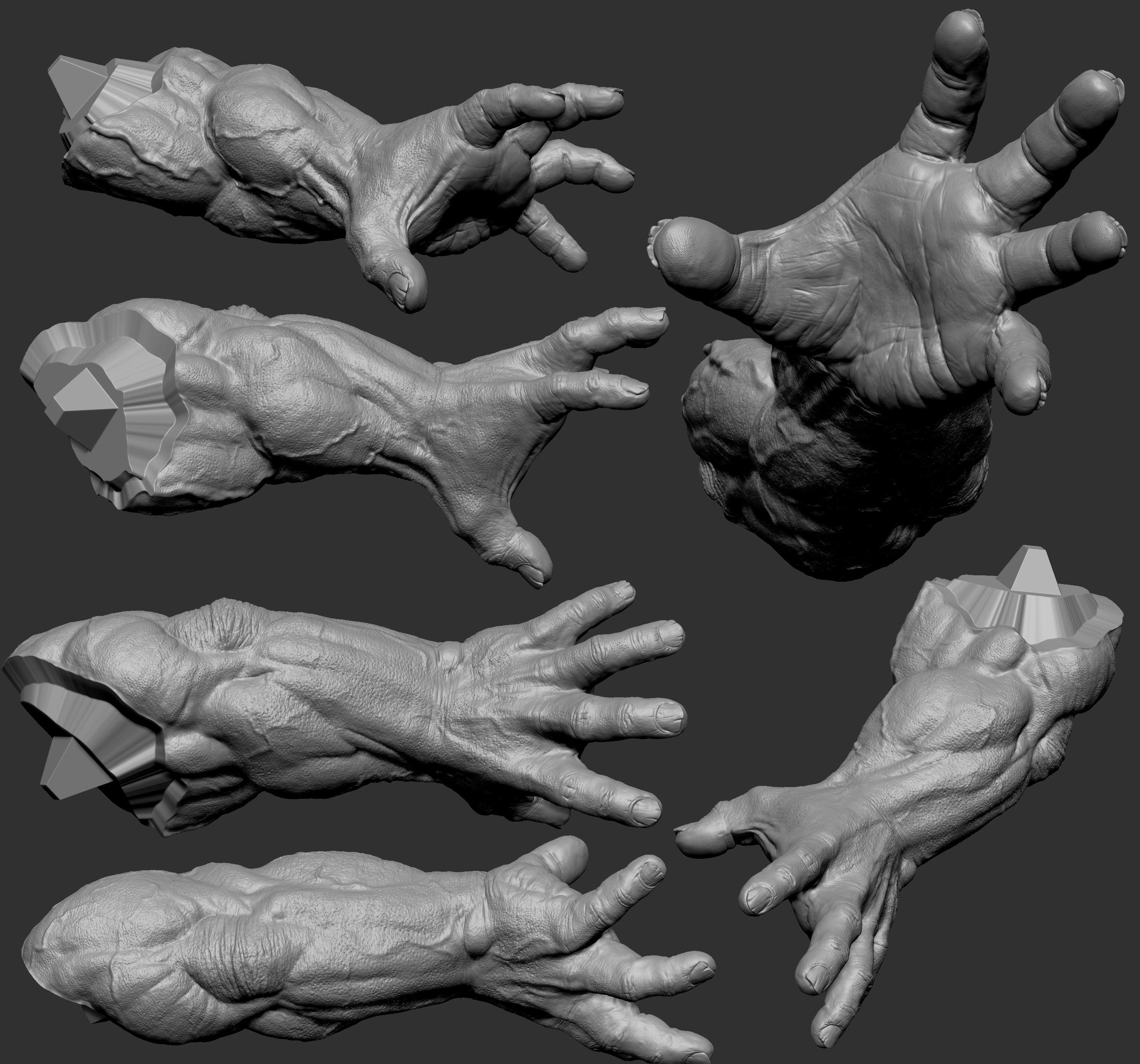 left_hand.jpg