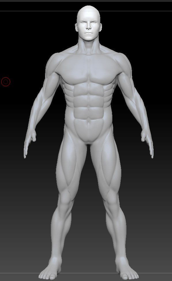 Human 5.jpg
