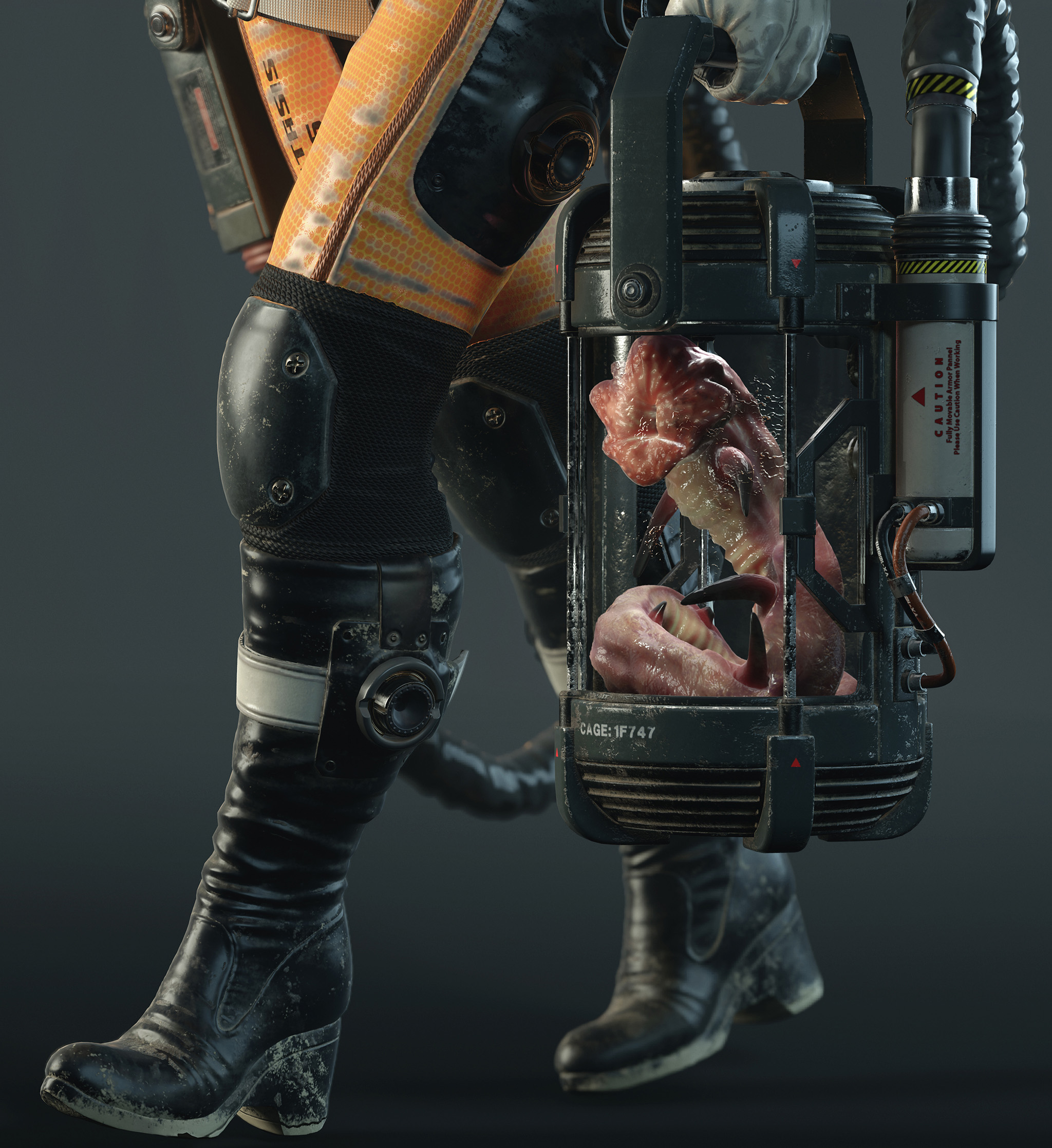 close_up3z.jpg