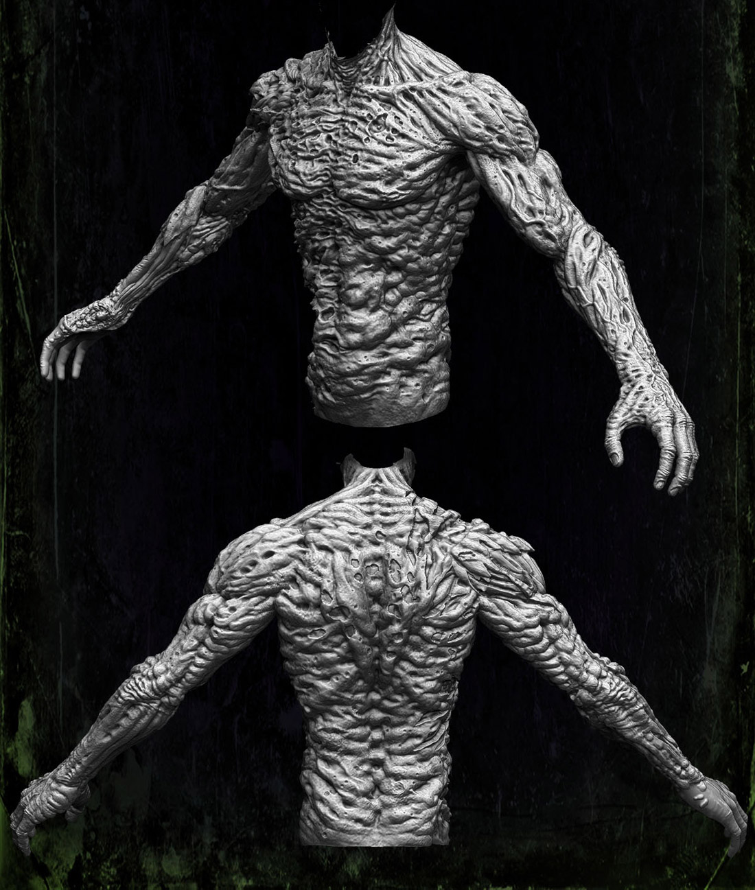 torsoh2.jpg